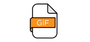 GIF file format