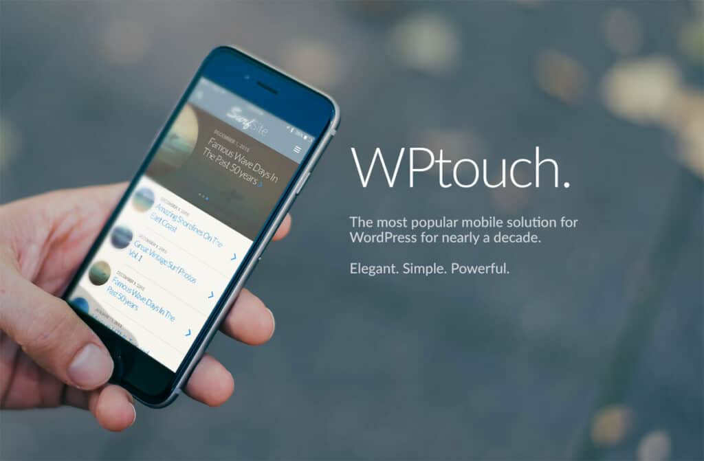 WordPress WPtouch landing page